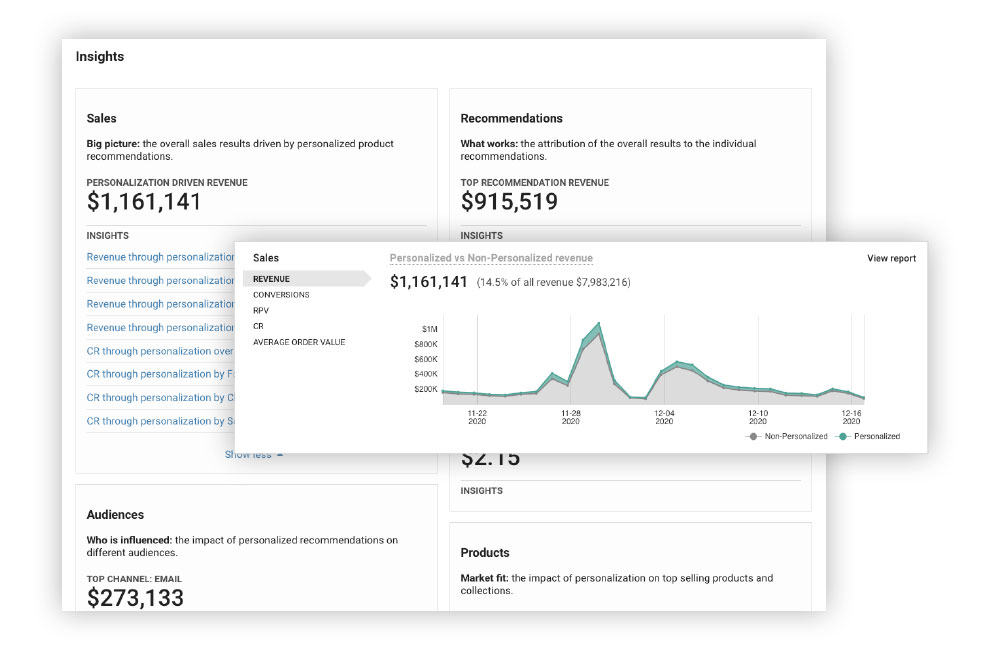 Screenshot of customer insights created from product recommendations