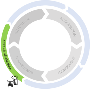 Upsell and Cross-sell: Obviyo can help increase order value with pertinent offerings.